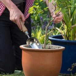 Kent & Stowe Stainless Steel Hand Potting Scoop 5 Kent & Stowe Stainless Steel Hand Potting Scoop -Outdoor Garden Care 1002024 1