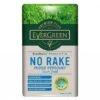 Evergreen Premium Plus No Rake Moss Remover Lawn Food 100m2 -Outdoor Garden Care 1019267
