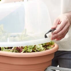 Elho Green Basics Flower Bridge Grow House 55cm 11 Elho Green Basics Flower Bridge Grow House 55cm -Outdoor Garden Care 1024663 4