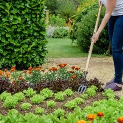 Outdoor Garden Care 7 Outdoor Garden Care -Outdoor Garden Care 1031071 1