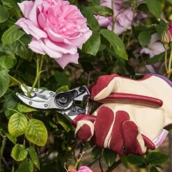 Kent & Stowe Rose Cut & Hold Secateurs -Outdoor Garden Care 1031091 2