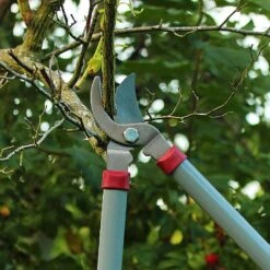 Kent & Stowe General Purpose Loppers -Outdoor Garden Care 1031094 3
