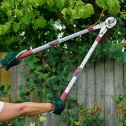 Kent & Stowe Telescopic Geared Anvil Loppers -Outdoor Garden Care 1031097 2
