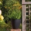 Stewart Garden 53cm Basalt Tall Round Planter - Black 1 Stewart Garden 53cm Basalt Tall Round Planter - Black -Outdoor Garden Care 1115428