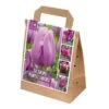 Violet Shades Assorted Tulips (30 Bulbs) -Outdoor Garden Care 1119809