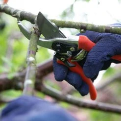 Wilkinson Sword Folding Pruner Saw & Pruner Set -Outdoor Garden Care 1140375 2