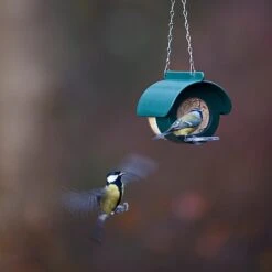 Jacobi Jayne Flutter Butter DeLuxe Feeder (For Pods Or Jars) -Outdoor Garden Care 1153038 3