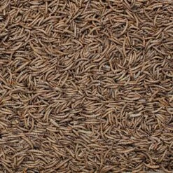 Henry Bell Mealworm For Wild Birds 1kg -Outdoor Garden Care 1161353 1