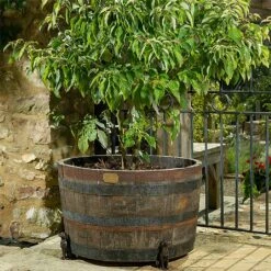 Jardinopia Plant Pot Feet Bronze Labrador - Set Of 3 -Outdoor Garden Care 1177293 3