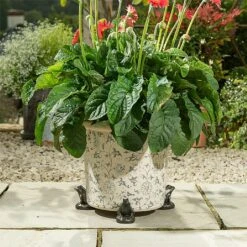 Jardinopia Plant Pot Feet Bronze Frog - Set Of 3 -Outdoor Garden Care 1177294 4