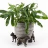 Jardinopia Plant Pot Feet Bronze French Bulldog -Outdoor Garden Care 1177301
