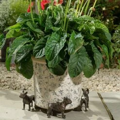 Jardinopia Plant Pot Feet Bronze French Bulldog -Outdoor Garden Care 1177301 3
