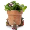 Jardinopia Beatrix Potter Benjamin Bunny Plant Pot Feet - Set Of 3 -Outdoor Garden Care 1177317