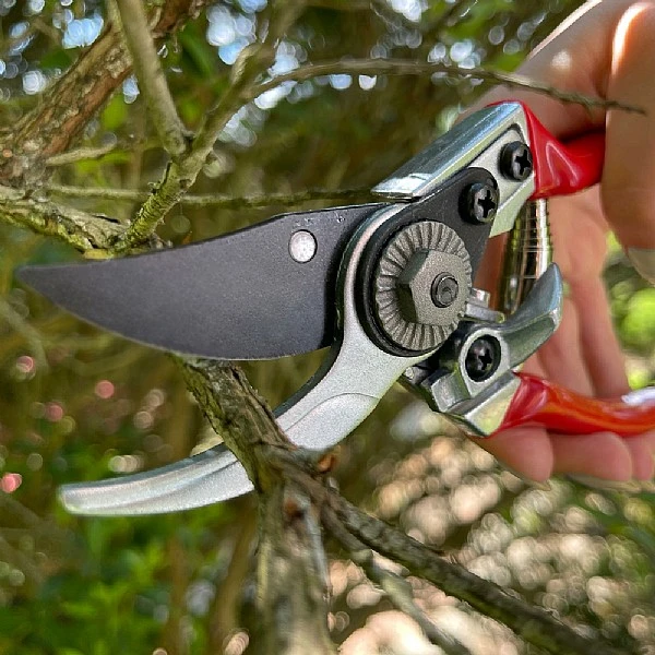 Darlac Small Bypass Pruner 4 Darlac Small Bypass Pruner - Image 2
