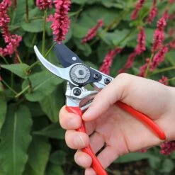 Darlac Small Bypass Pruner 8 Darlac Small Bypass Pruner -Outdoor Garden Care 1202088 3