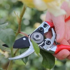 Darlac Small Bypass Pruner 9 Darlac Small Bypass Pruner -Outdoor Garden Care 1202088 4