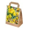 Tulipa Yellow Shades (Bag Of 30) -Outdoor Garden Care 1212232