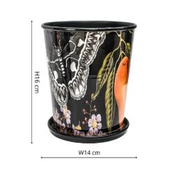 Kew Eclectic Orangery Planter With Saucer 14cm -Outdoor Garden Care 1227766 3