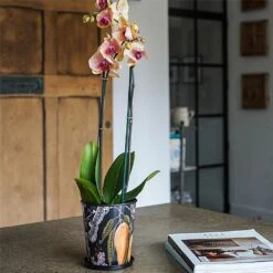 Kew Eclectic Orangery Planter With Saucer 14cm -Outdoor Garden Care 1227766 4