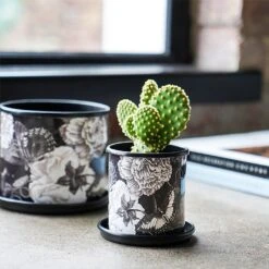 Kew Eclectic Orangery Noir Planter With Saucer 13cm -Outdoor Garden Care 1227769 4