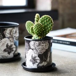 Kew Eclectic Orangery Noir Tall Planter With Saucer 13cm 8 Kew Eclectic Orangery Noir Tall Planter With Saucer 13cm -Outdoor Garden Care 1227770 3