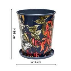 Kew Temperate House Planter With Saucer 14cm -Outdoor Garden Care 1227771 4