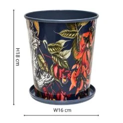 Kew Temperate House Planter With Saucer 16cm -Outdoor Garden Care 1227772 4