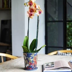 Kew Temperate House Planter With Saucer 16cm -Outdoor Garden Care 1227772 5