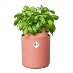 Elho Bouncy Basil Herb Pot Toffee Terracotta -Outdoor Garden Care 1230811 3