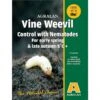 Agralan Vine Weevil Control With Nematodes + Voucher 2 Agralan Vine Weevil Control With Nematodes + Voucher -Outdoor Garden Care 1238906