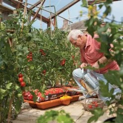 Hozelock Growbag Waterer 12 Hozelock Growbag Waterer -Outdoor Garden Care 771491 4