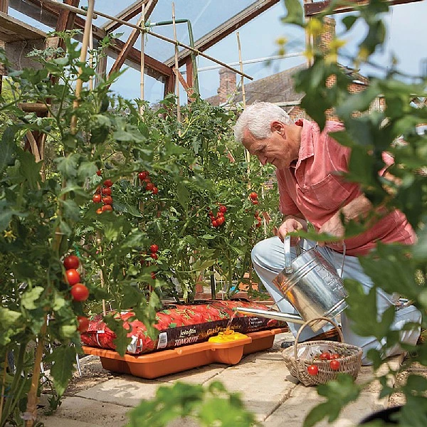 Hozelock Growbag Waterer 7 Hozelock Growbag Waterer - Image 5