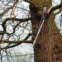 Kent & Stowe Telescopic Tree Lopper -Outdoor Garden Care 910042 2