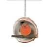 Vivid Arts Robin In A Coconut Bird Feeder -Outdoor Garden Care 931666