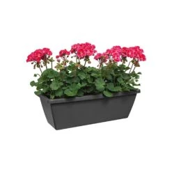 Elho Barcelona 90cm Trough (Various Colours) -Outdoor Garden Care BARCTROUGH90 2