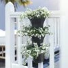Elho Corsica Vertical Forest 24cm Planters - Set Of 3 (Various Colours) 2 Elho Corsica Vertical Forest 24cm Planters - Set Of 3 (Various Colours) -Outdoor Garden Care CORFOR24