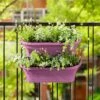 Elho Corsica Large Vertical Forest Planters - Set Of 2 (Various Colours) -Outdoor Garden Care CORFORLRG