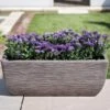 Cotswold Trough Planter 60cm