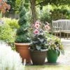 Stewarts Garden Palladian Planter 65cm (Various Colours) -Outdoor Garden Care SGPALPLAN65