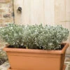 Deep Trough 80cm - 2 Colours Available -Outdoor Garden Care TSC5152