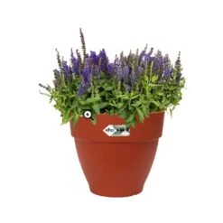 Elho Vibia Campana Round 47cm Planter (Various Colours) -Outdoor Garden Care VICAM47 1