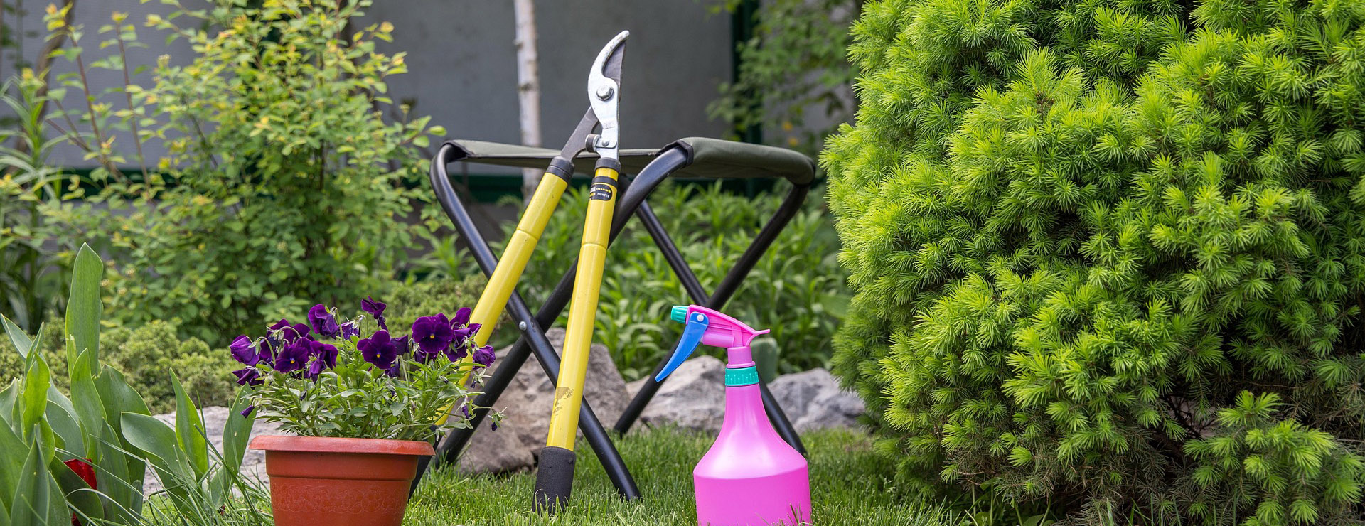 Outdoor Garden Care 3 Outdoor Garden Care -Outdoor Garden Care gardening 6803875 1920